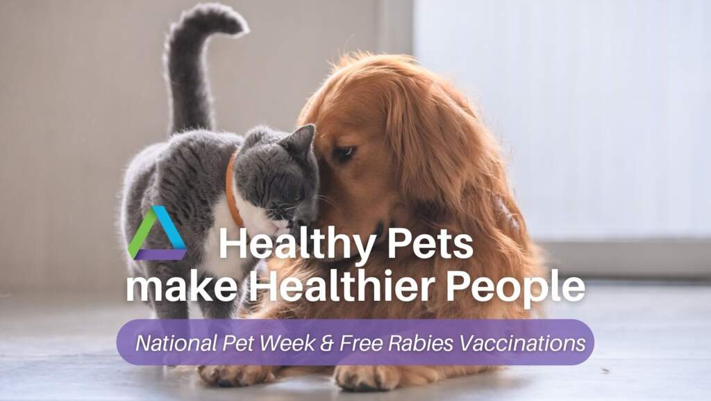 Healthy Pets make Healthier People