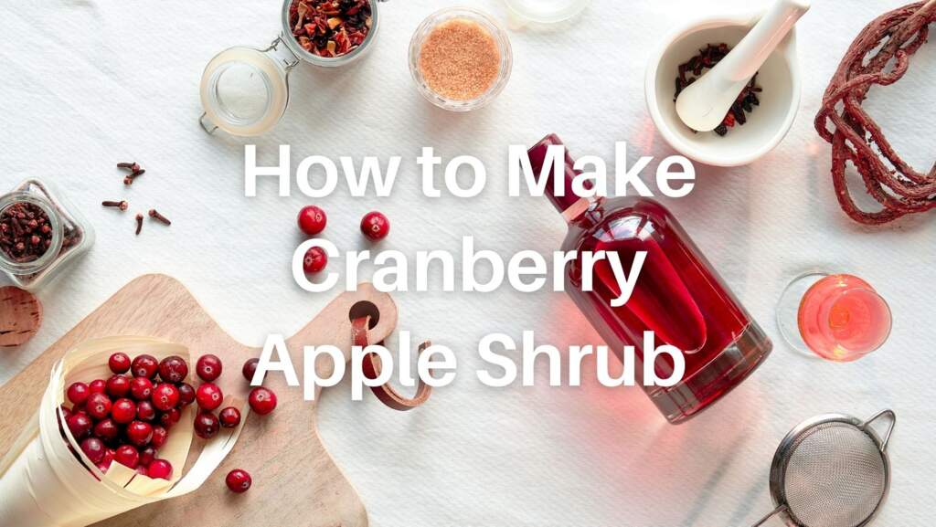 Make your Own Festive Cranberry Apple Shrub
