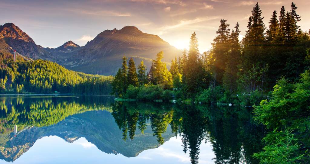 Promise of Eternal Life/Pathos & Glory: Part 2