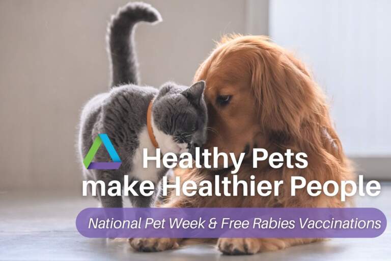 Healthy Pets make Healthier People