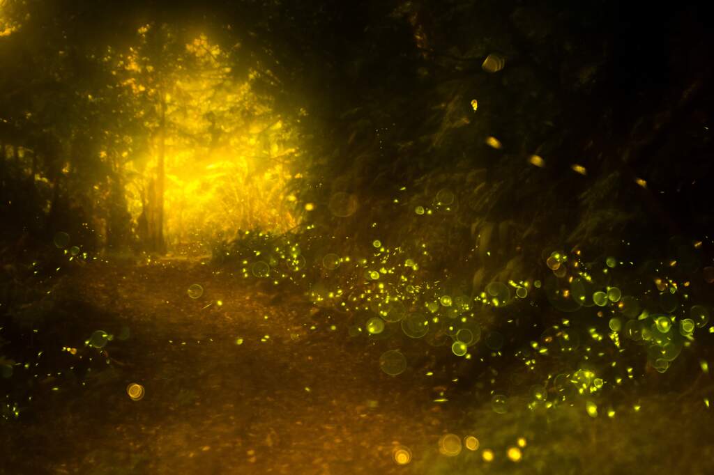 The Palpable Sense of the Sacred: Part 2