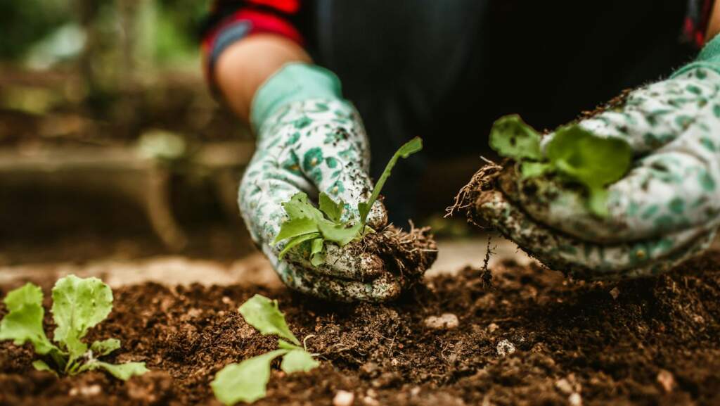 Do you need a Tetanus Booster?