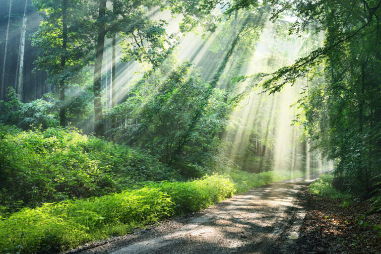 Spiritual Sustenance: Part 2