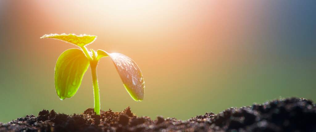 Part 2: &ldquo;FAITHFUL WAITING ON THE PATHWAY OF LIFE&rdquo; 