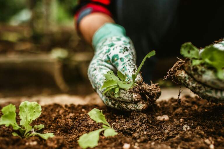 Do you need a Tetanus Booster?